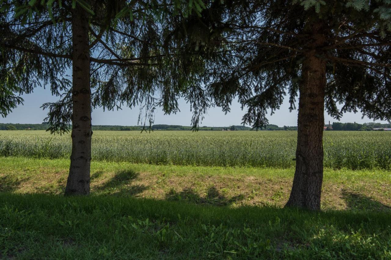 Vila Posteleki Vendeghaz-Nyugalom Szigetei Gyula Exteriér fotografie